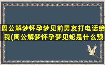 周公解梦怀孕梦见前男友打电话给我(周公解梦怀孕梦见蛇是什么预兆 女性)